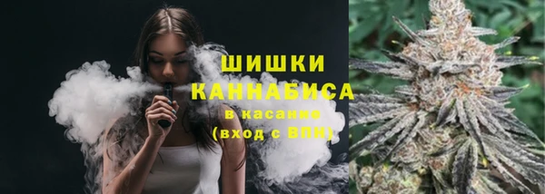 PSILOCYBIN Балабаново