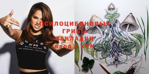 гидра Балахна