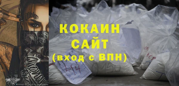 индика Приозерск
