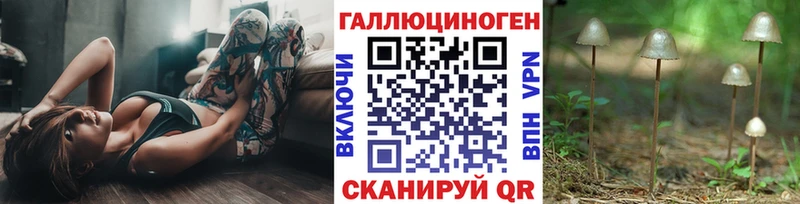 omg как войти  Высоковск  Псилоцибиновые грибы Magic Shrooms 